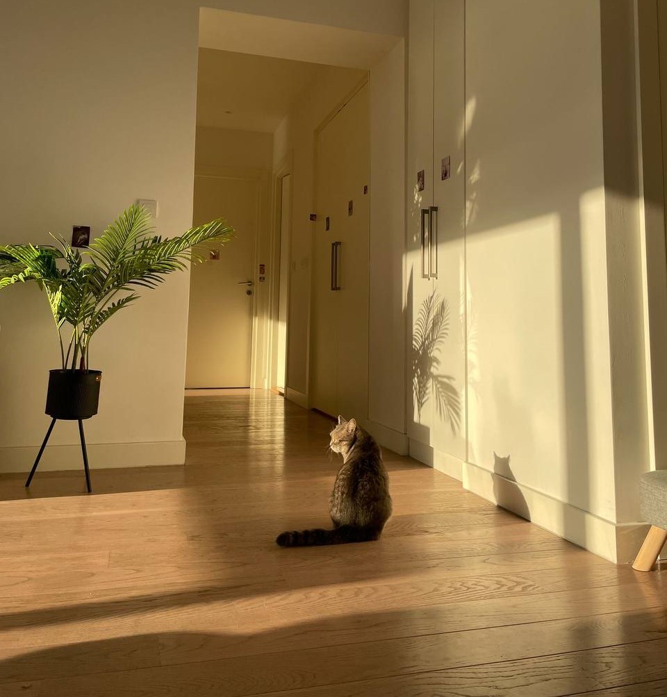 фото новини